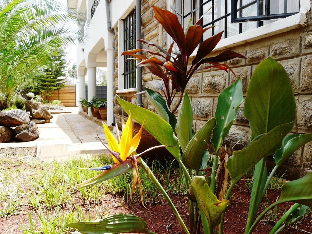Maison Mitwaba Nairobi Exterior foto